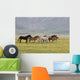 Wild Horses Umbria Wall Decal