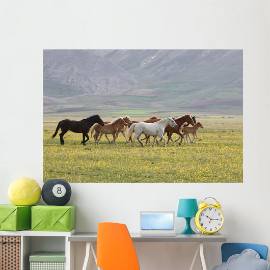 Wild Horses Umbria Wall Decal