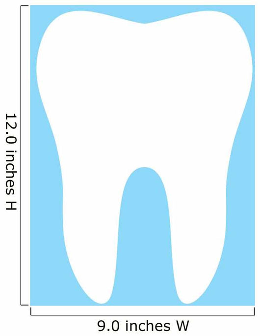 Tooth Vector Icon Wall Decal Design 1