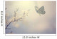Pastel Colored Photo Butterfly Wall Decal Design 2