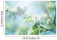 Pastel Colored Photo Butterfly Wall Decal Design 1