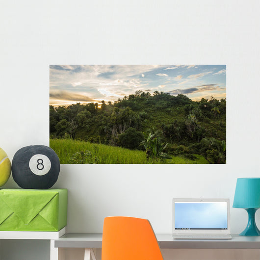 Ikalalao Jungle Wall Decal