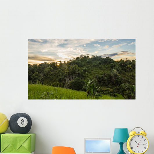 Ikalalao Jungle Wall Decal