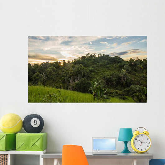 Ikalalao Jungle Wall Decal