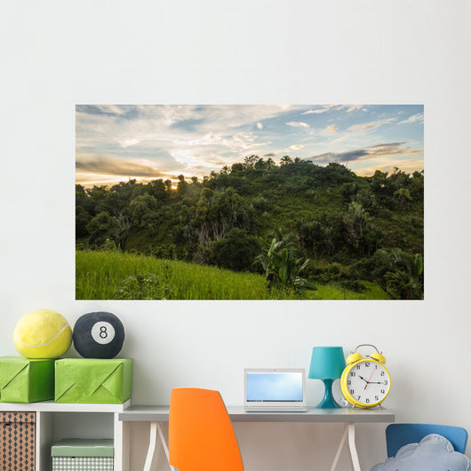 Ikalalao Jungle Wall Decal
