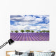 Lavender Field Wall Decal Design 1