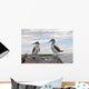 Blue-footed Booby Wall Decal