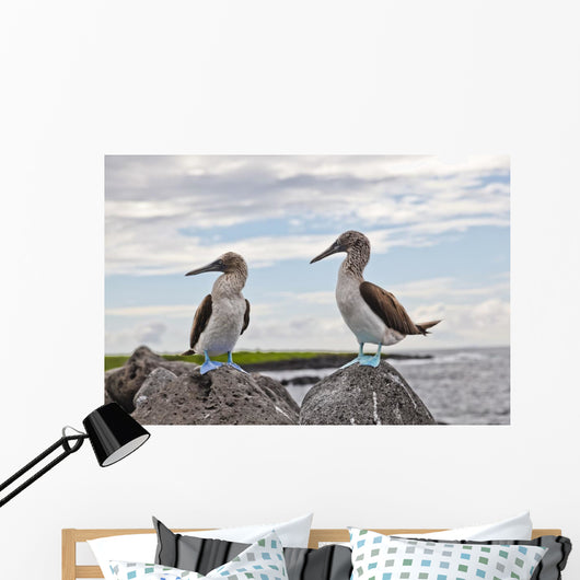 Blue-footed Booby Wall Decal
