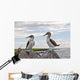 Blue-footed Booby Wall Decal