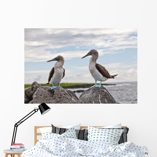 Blue-footed Booby Wall Decal