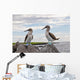 Blue-footed Booby Wall Decal