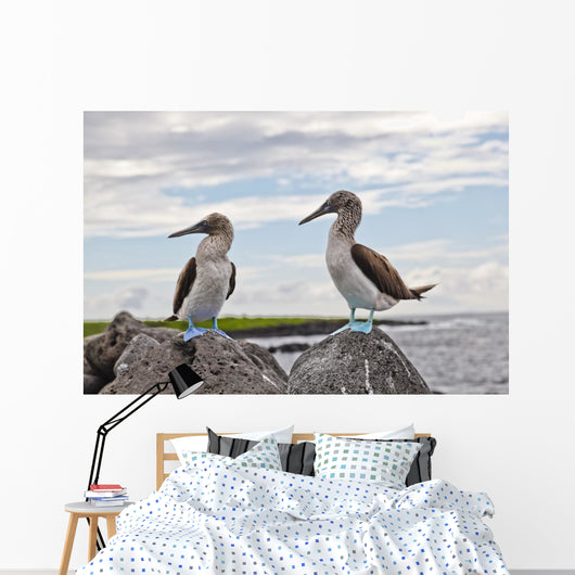 Blue-footed Booby Wall Decal