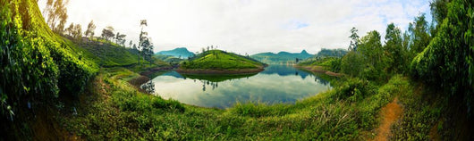 Sri Lanka Wall Decal Panoramic Wall Decal