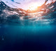 Blue Sea Wall Decal