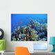Life under Water Wall Decal