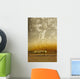 Old Trumpet Wall Decal