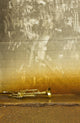 Old Trumpet Wall Decal