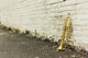 Old Trumpet Brick Wall - Wall Decal
