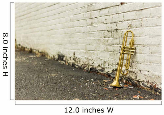 Old Trumpet Brick Wall - Wall Decal