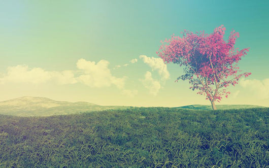 Maple Tree Landscape with Wall Decal