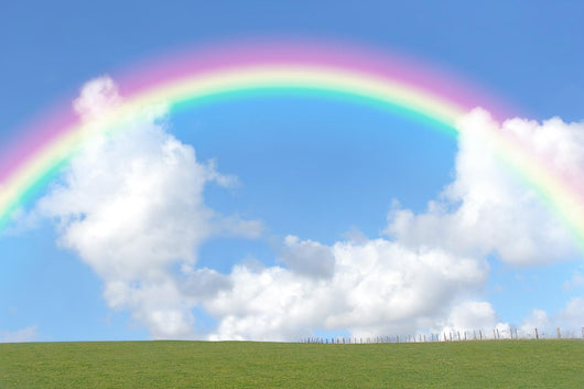 Rainbow Beauty Wall Decal
