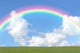 Rainbow Beauty Wall Decal