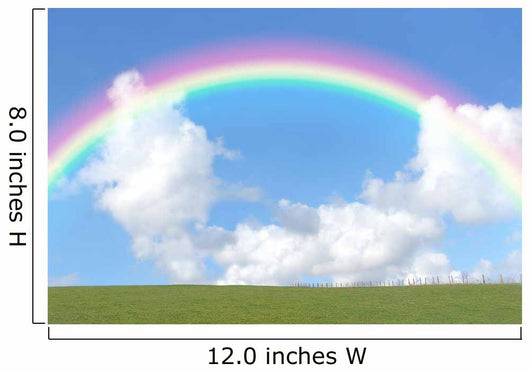Rainbow Beauty Wall Decal