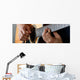 Acoustic Guitar Player Performing Wall Decal Panoramic Wall Decal