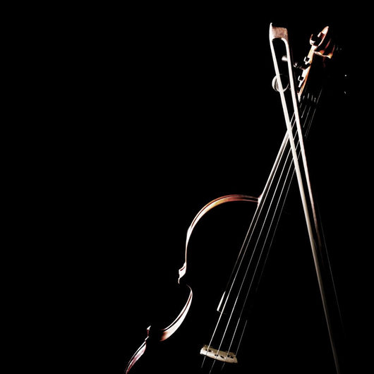 Violin Bow Musical Instruments Wall Decal