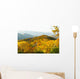 Top Great Smoky Mountains Wall Decal