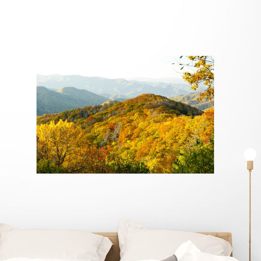 Top Great Smoky Mountains Wall Decal