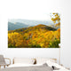 Top Great Smoky Mountains Wall Decal