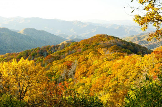 Top Great Smoky Mountains Wall Decal