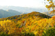 Top Great Smoky Mountains Wall Decal