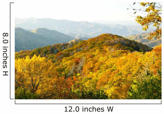 Top Great Smoky Mountains Wall Decal