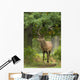 Red Deer Stag Wall Decal