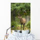 Red Deer Stag Wall Decal