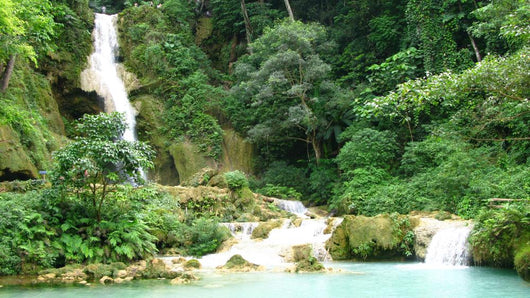 Waterfall Park Wall Decal Design 2