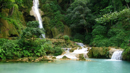 Waterfall Park Wall Decal Design 1