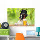 Boxer 318 Wall Decal