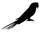 Papagei Silhouette Wall Decal