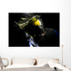 Paintball Wall Decal Design 1
