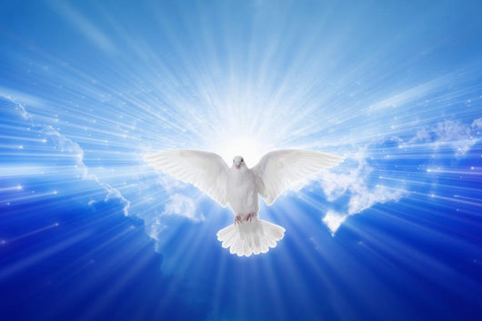 Holy Spirit Came down Wall Decal