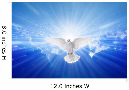 Holy Spirit Came down Wall Decal