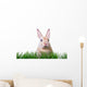 Ostern Hase Karte Wall Decal
