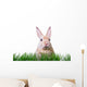 Ostern Hase Karte Wall Decal