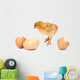 Beautiful Little Chicken Egg Wall Decal