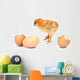 Beautiful Little Chicken Egg Wall Decal