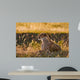 Female Cheetah Lying Grass Wall Decal