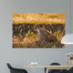Female Cheetah Lying Grass Wall Decal